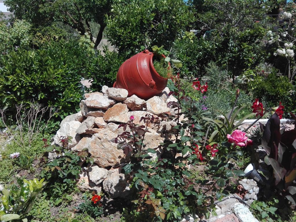 Daire Kokkinos Arillas (Corfu)